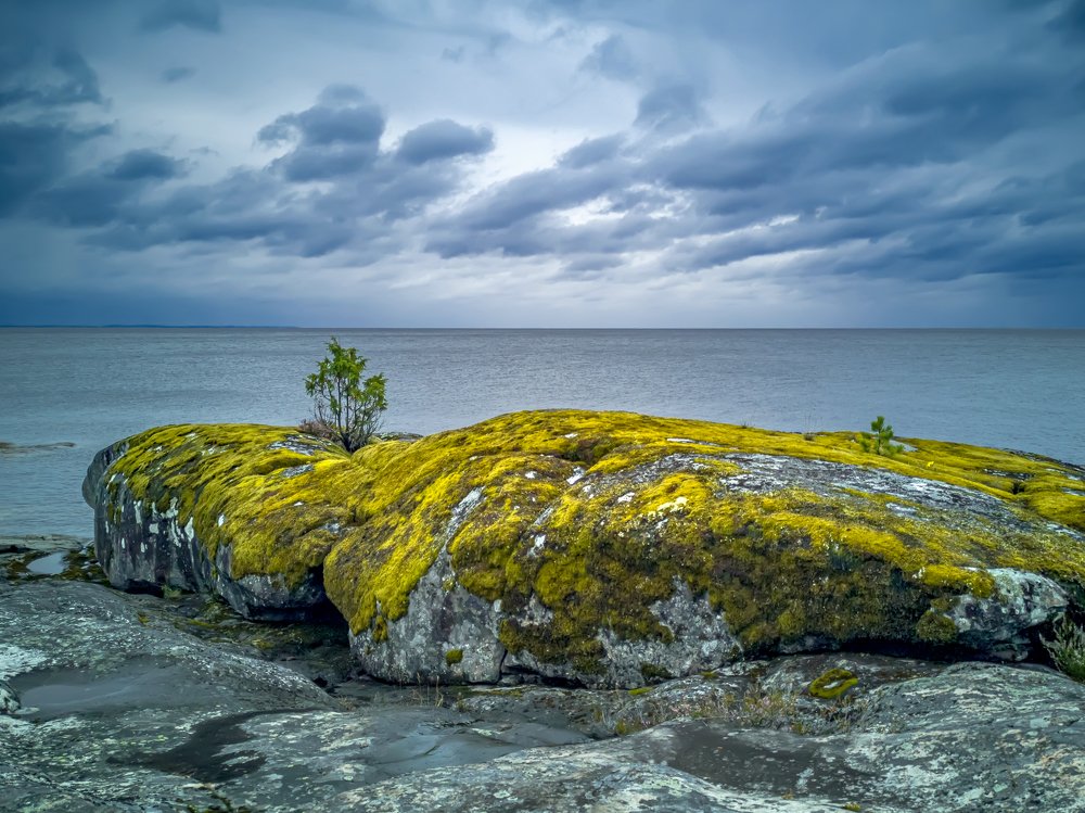Waiting for the storm