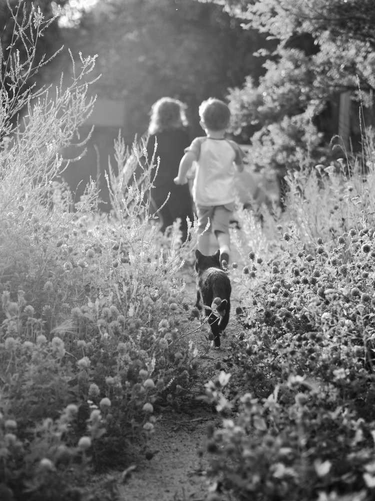 Photograph by Кристина Гареева