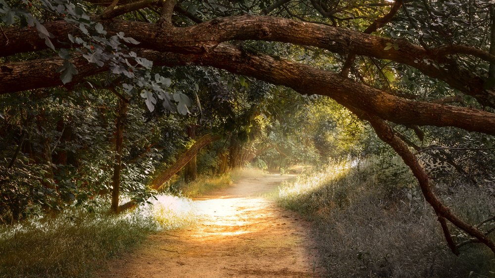 Photograph by Виктория Марьенко