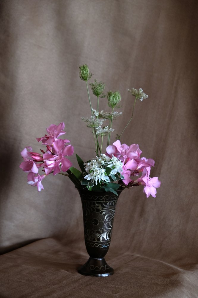 Saksıda Çiçekler III