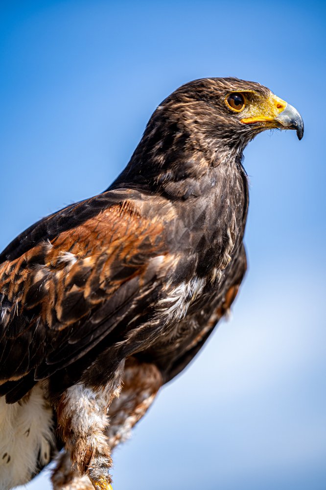 Photograph by Klaus Tesching