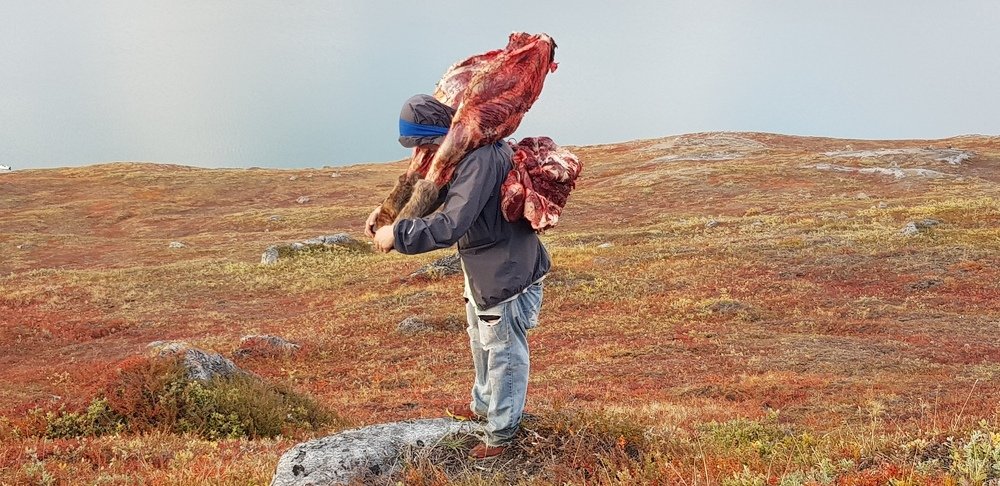 Hunter taking a break