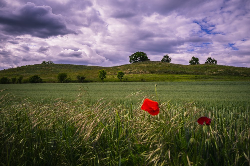 Photograph by Juraj Šulek