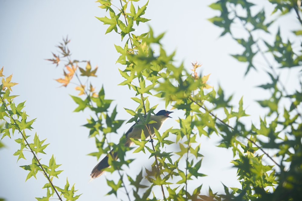 Photograph by Лиза Ананьева