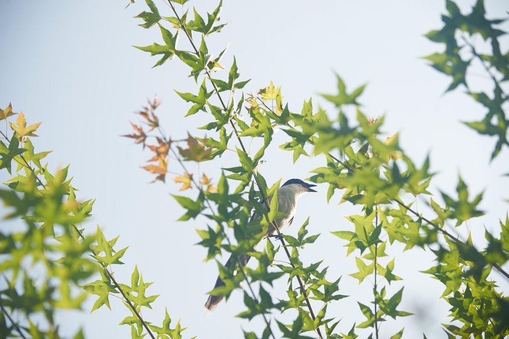 Photograph by Лиза Ананьева