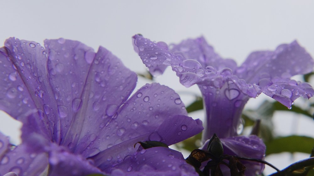 Фотография автора Andre Barbosa