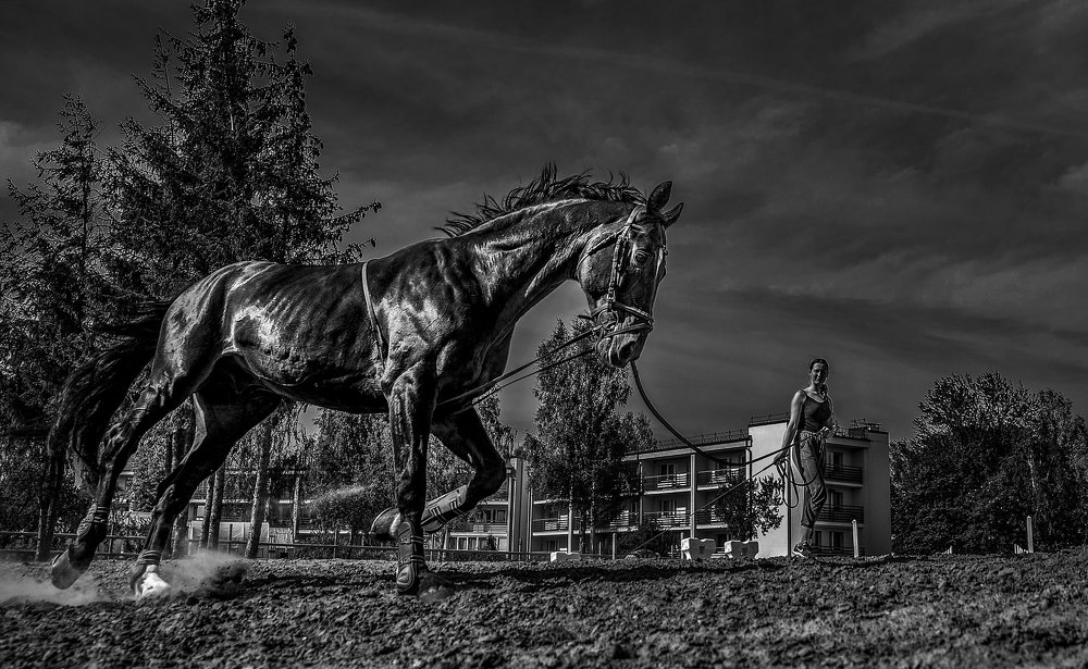 Photograph by Vladislavs Jodciks