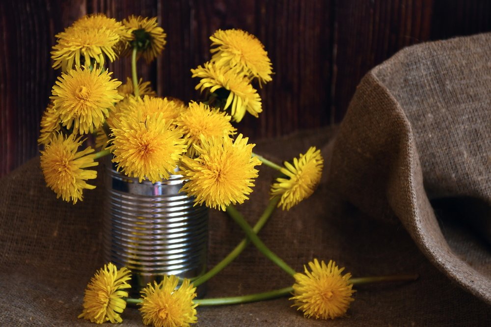 Photograph by Svetlana Jarbuse