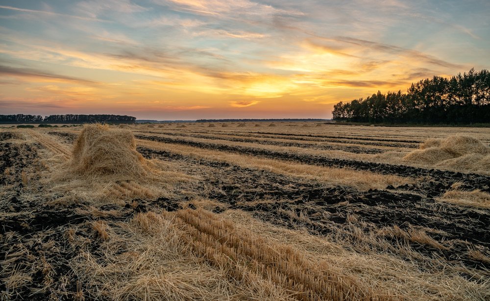 Поле на закате