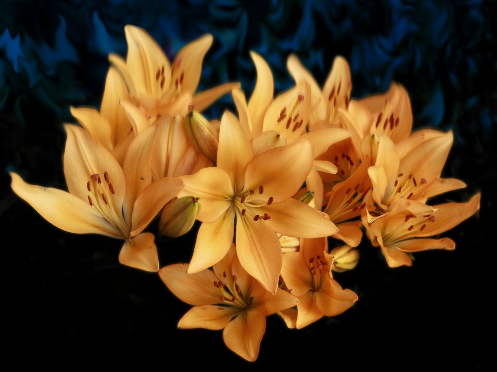 Фотография автора Евгений Кузнецов