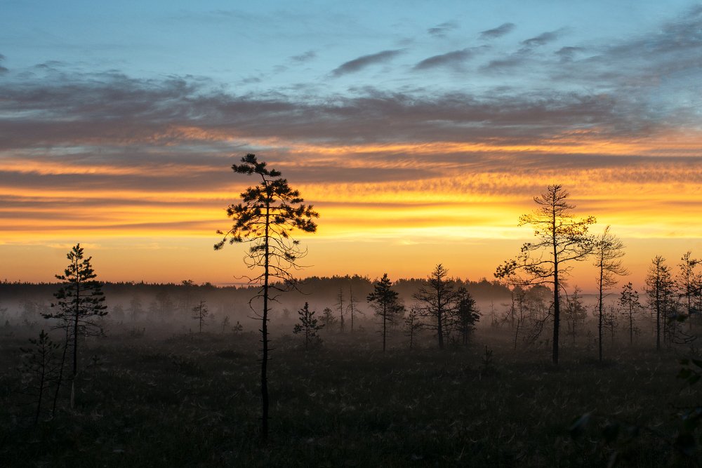 Photograph by Алёна Таланова