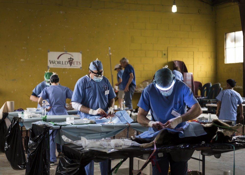 Photograph by Camilo Sarti