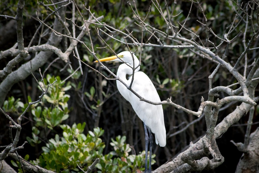 Photograph by Aritra Nath