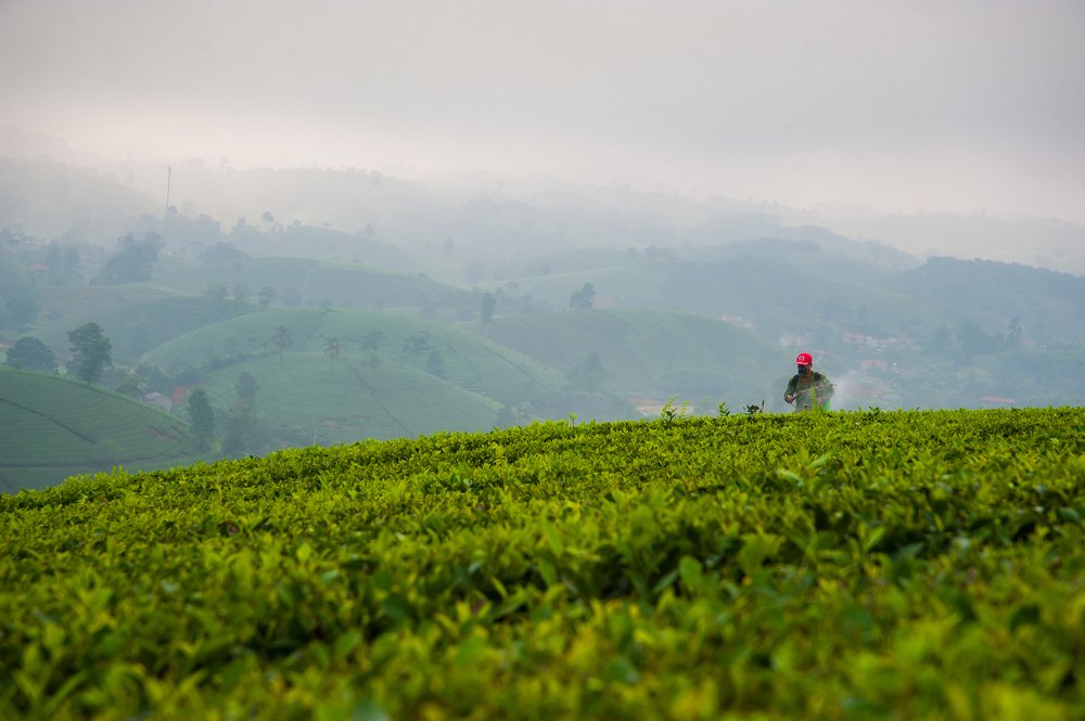 Photograph by Khổng Minh