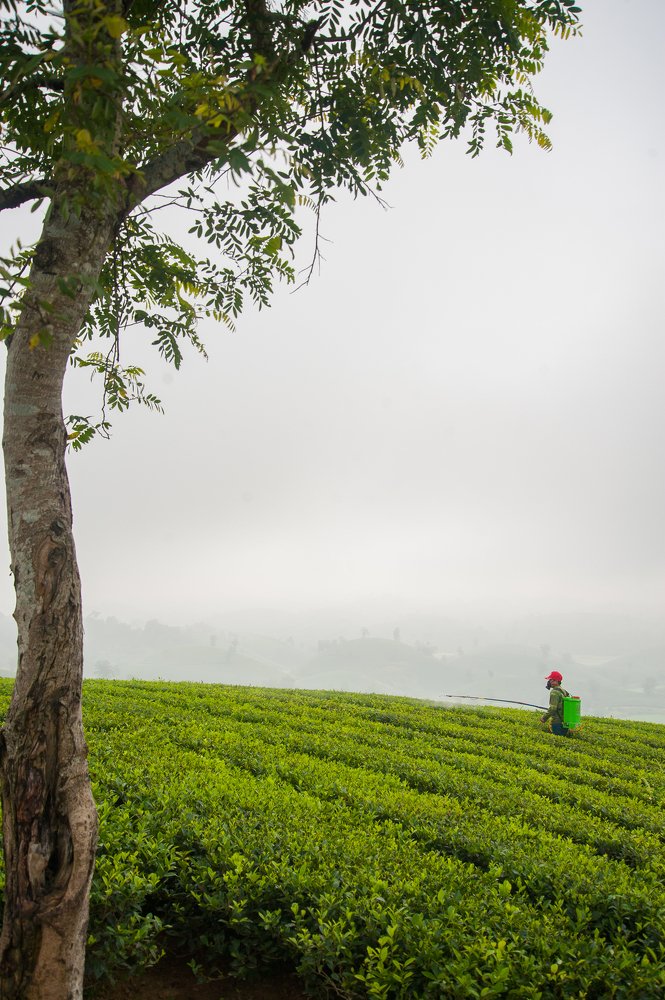 Photograph by Khổng Minh