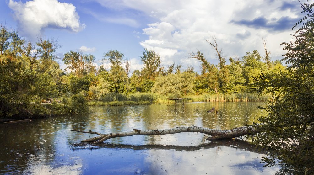Photograph by Виктория Марьенко