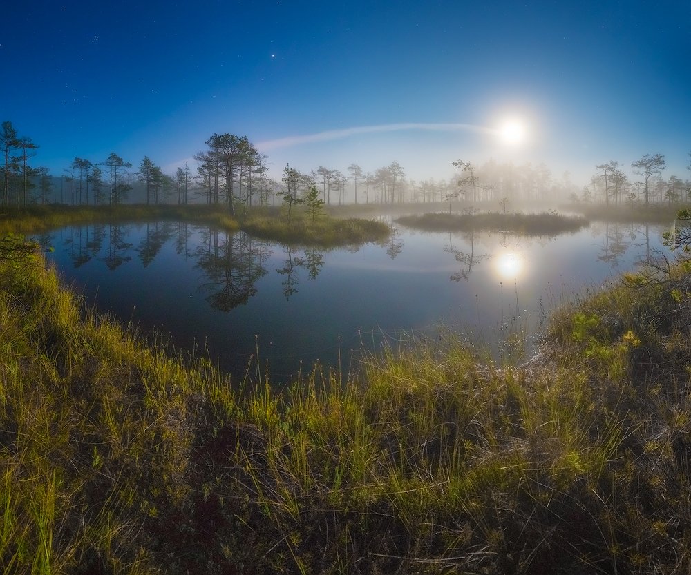 Photograph by Алексей Марголин