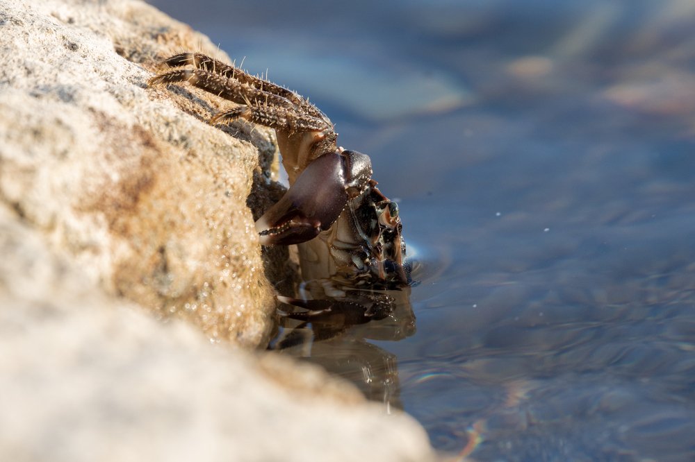 Photograph by Антон Скоморохов