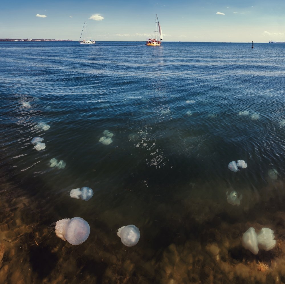 Photograph by Анатолий Щербак