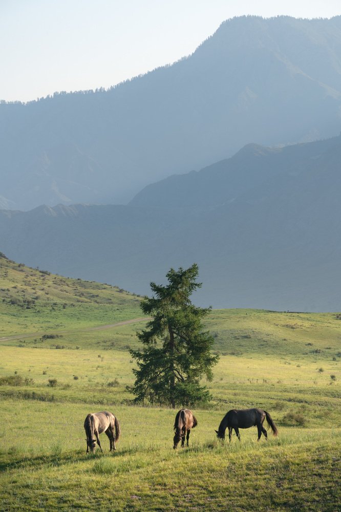 Завтрак на троих...