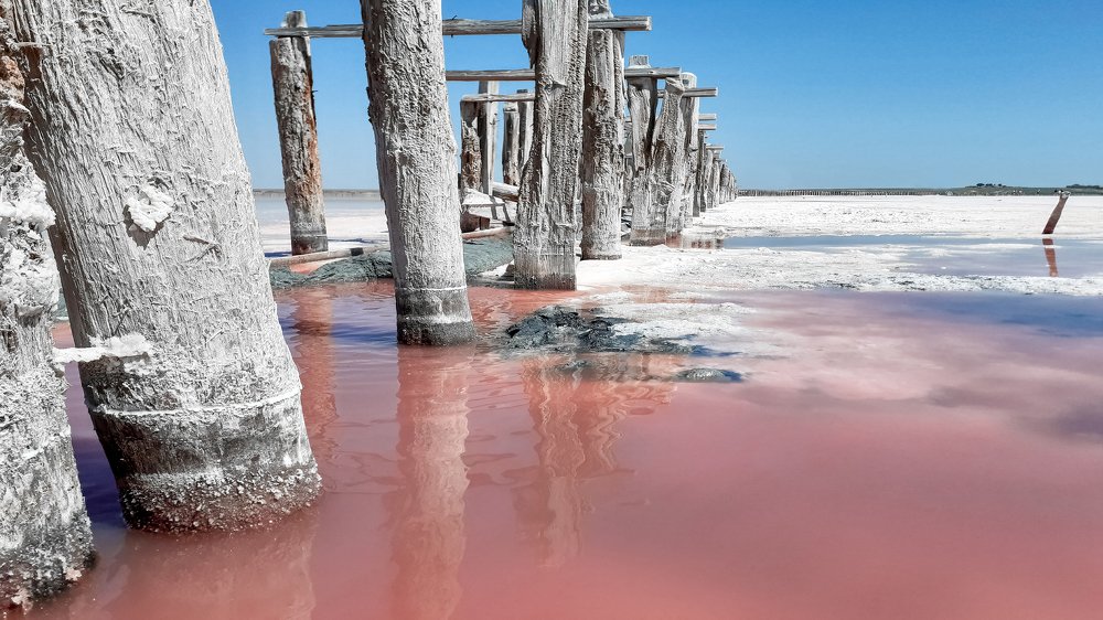 Photograph by Виктория Марьенко