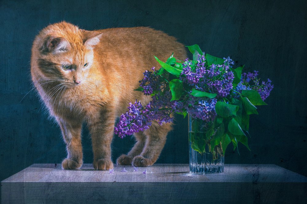 Photograph by Николай Сизиков