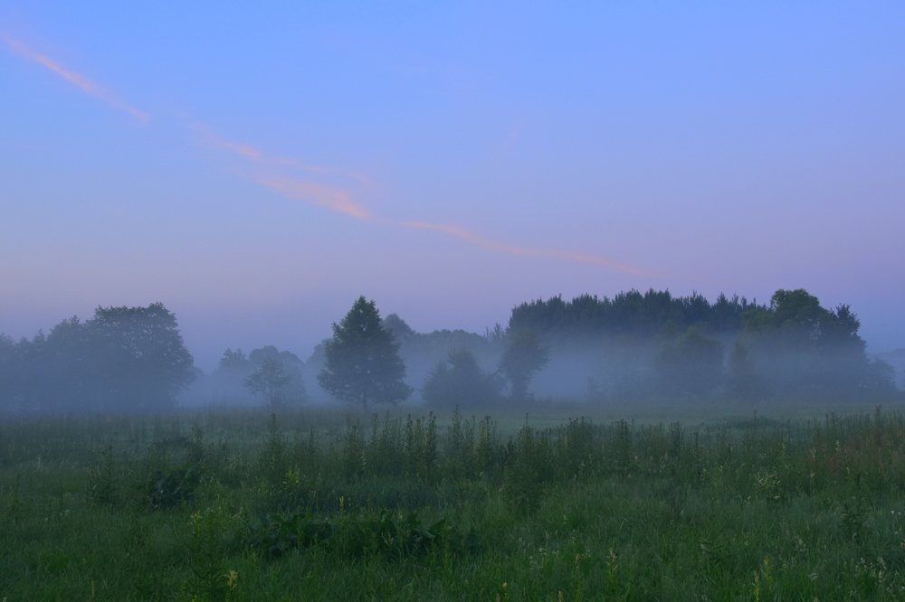 На исходе ночи.