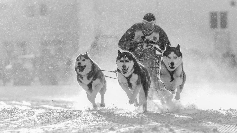 Photograph by Аркадий Саямов