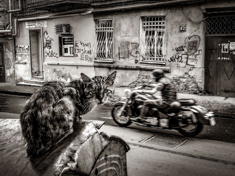 Photograph by Yana Khazova