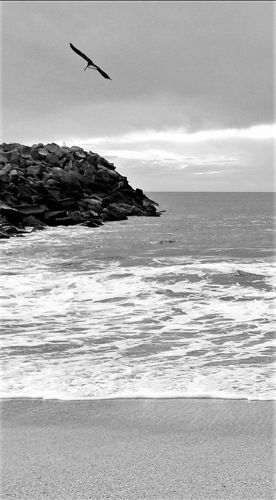 Фотография автора GABRIEL PEÑA