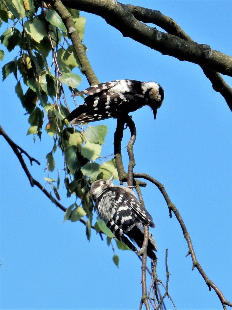 Photograph by Елена Гуляева