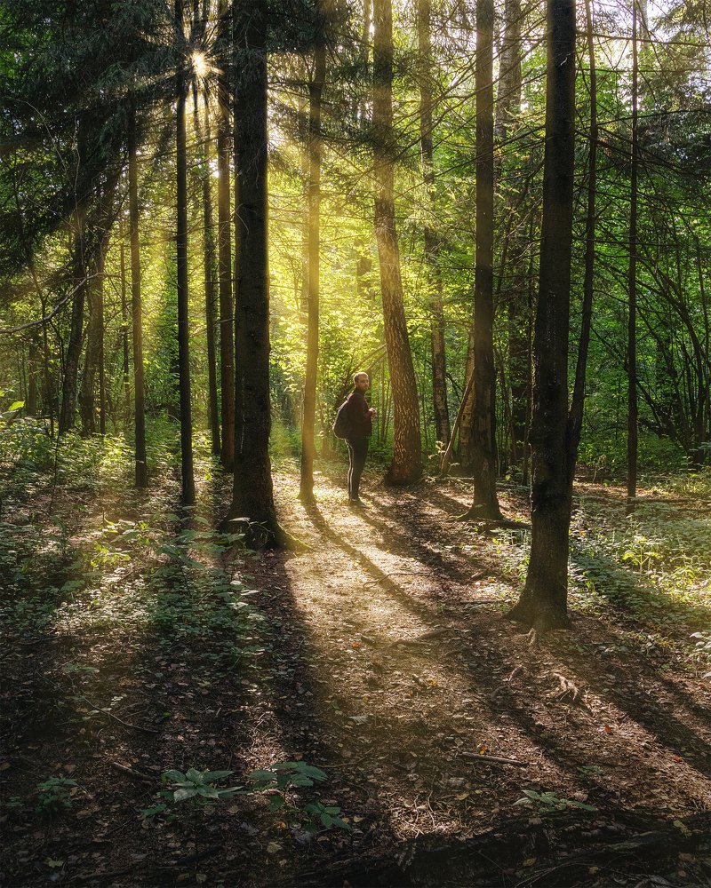 Photograph by Герман Матвеев