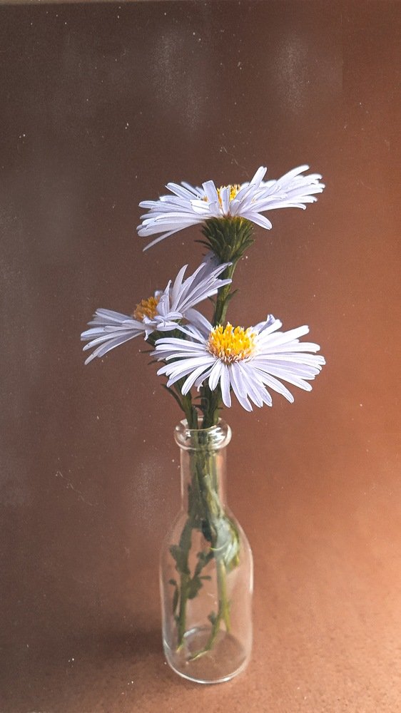 Photograph by Кристина Дугина