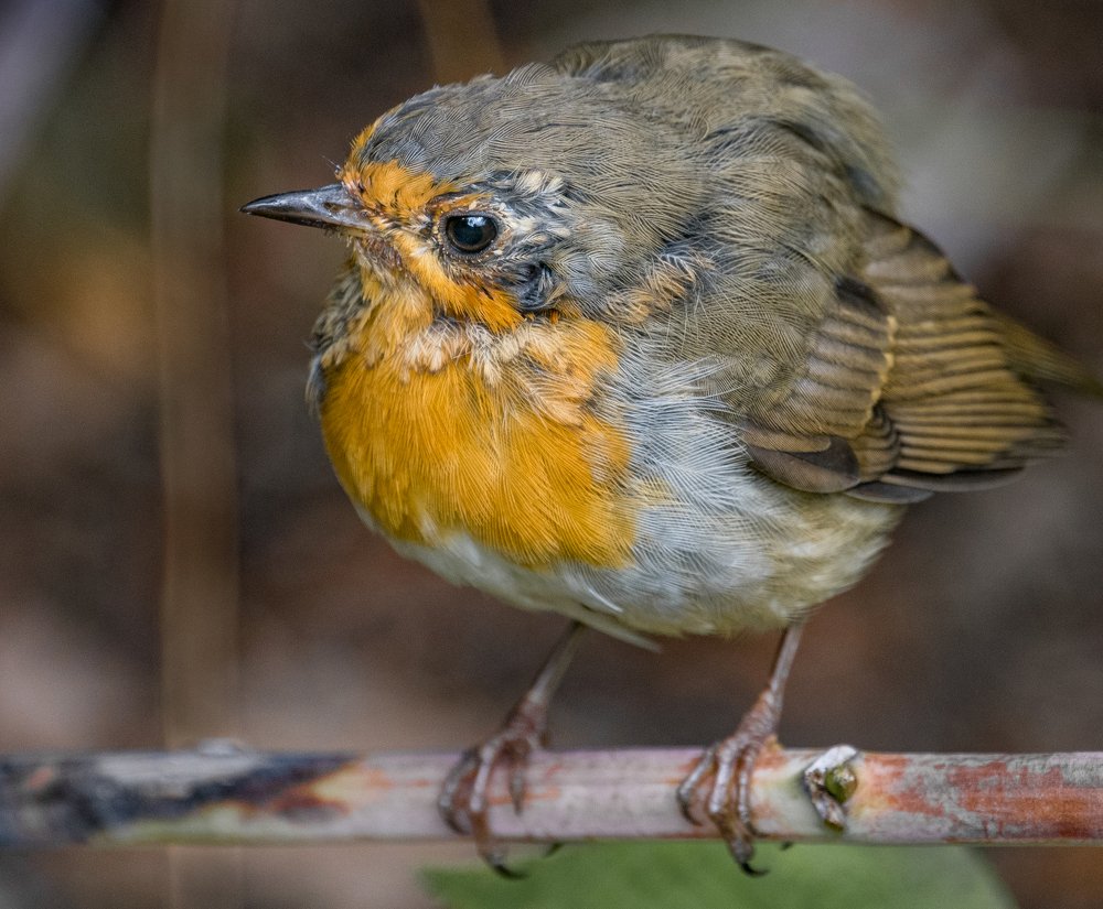 Photograph by Курлянцев Алексей