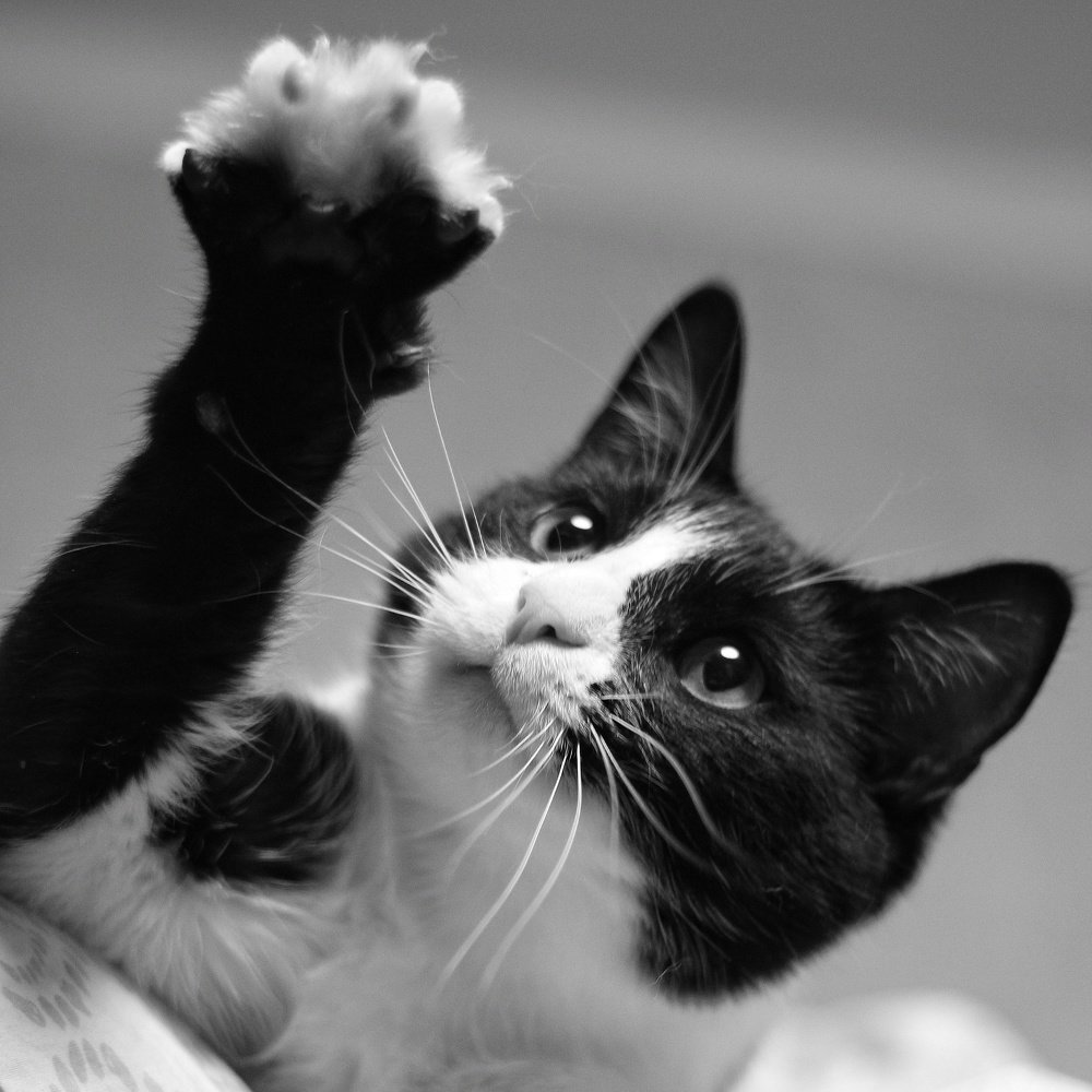 Photograph by Евгения Сафронова