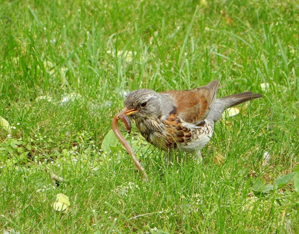 Photograph by Елена Гуляева