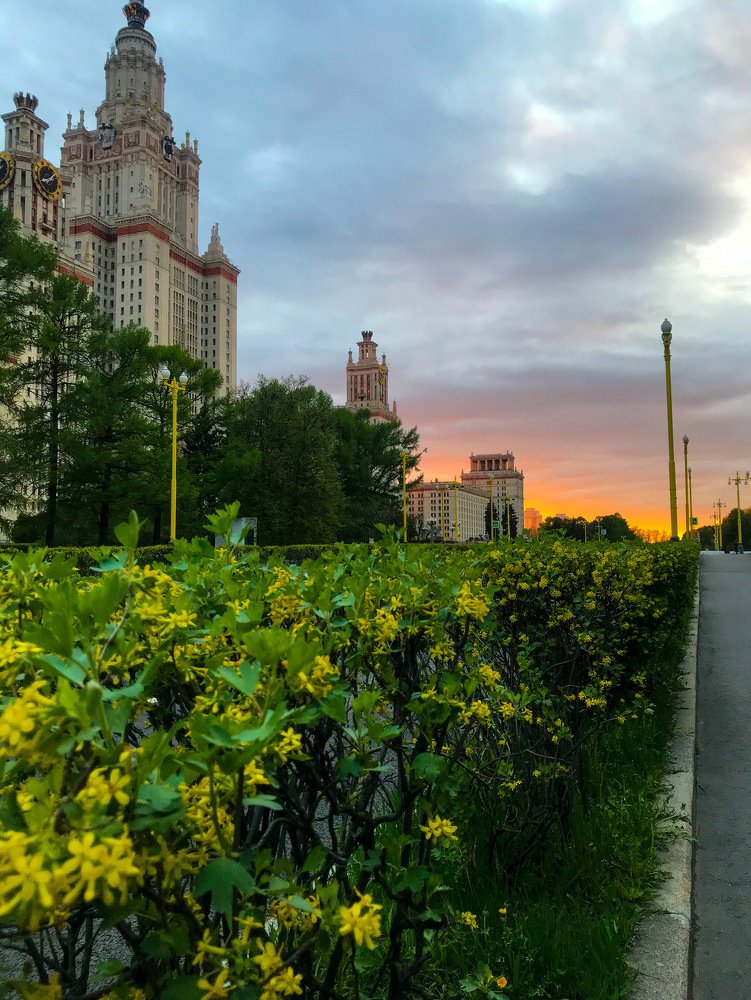 Photograph by Соня