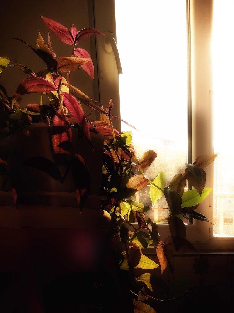 Photograph by Yahya Kakapour