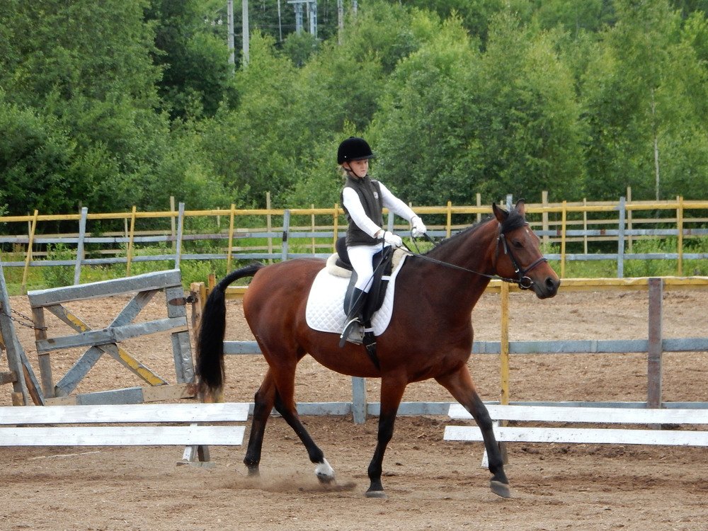 Photograph by Елена Гуляева
