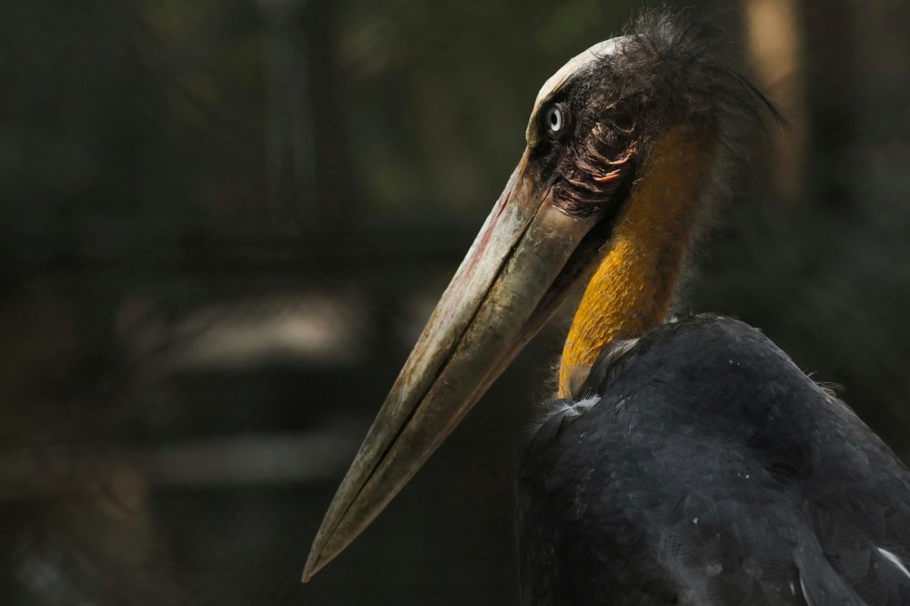 Photograph by Shubham Singh