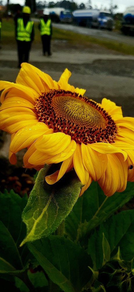 Photo #4920464