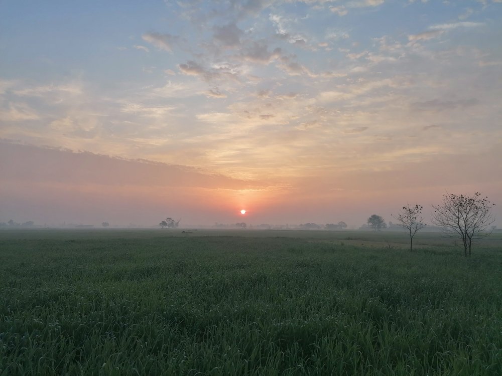 Photograph by Nauman