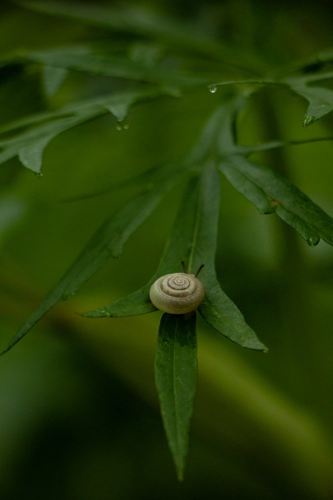 Поиграем в прятки?