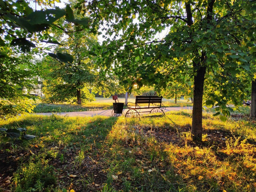 Фотография автора Darya Leonteva