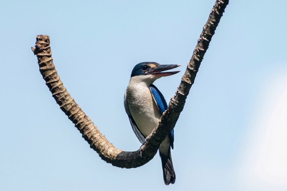 Photograph by Nicholas Ng