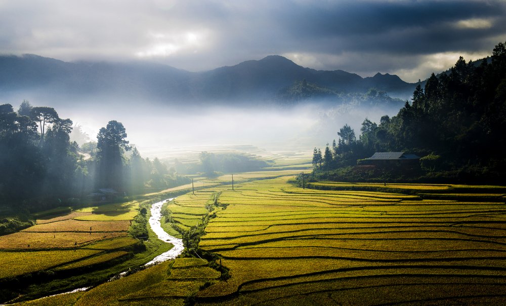 Photograph by Cao Tung