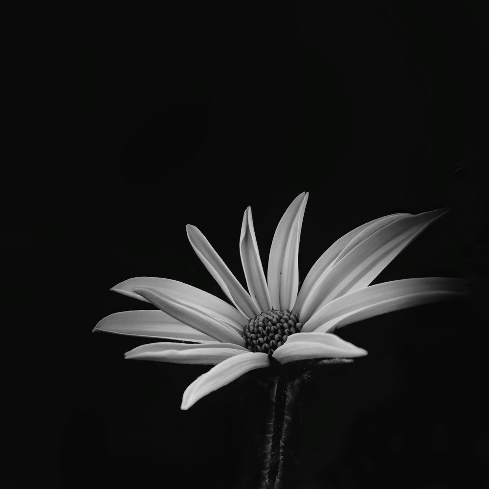 Photograph by Юрий Полушин