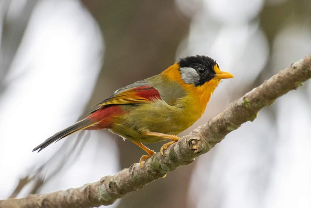 Photograph by Joo Aun Hneah