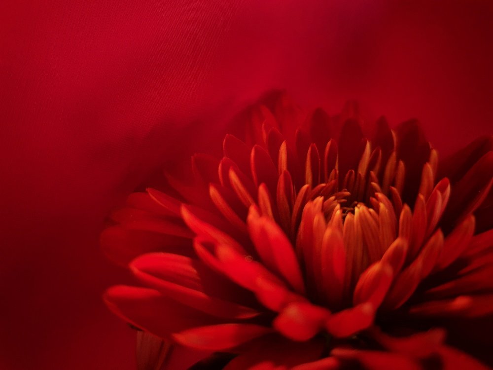 Photograph by Hayley van de Moortele