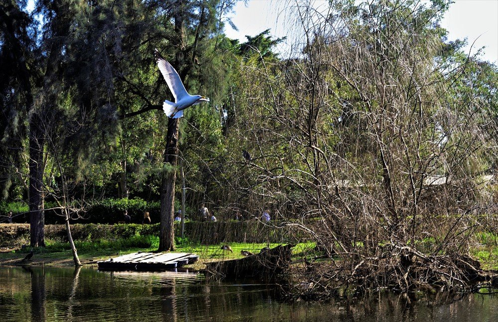 Photograph by YURI GARNAGA